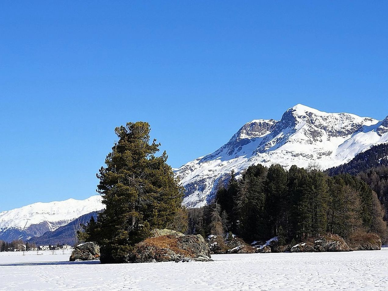 Solo aberto e descoberto acima das últimas árvores